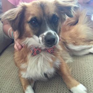 Meet your Posher, Naomi